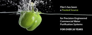 Commercial Water Purification